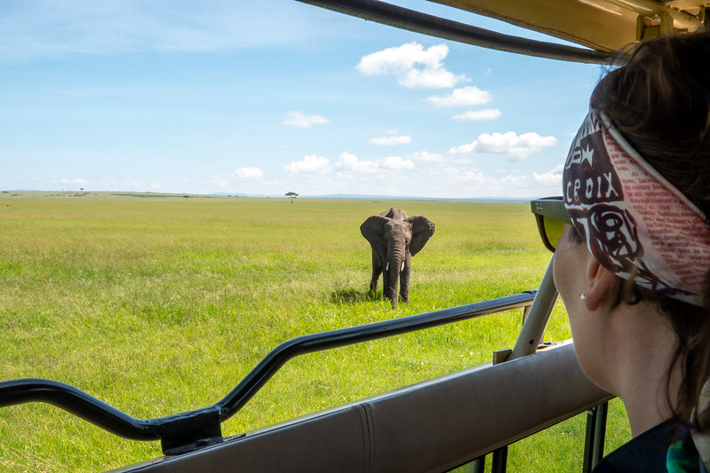 Footwear for your safari